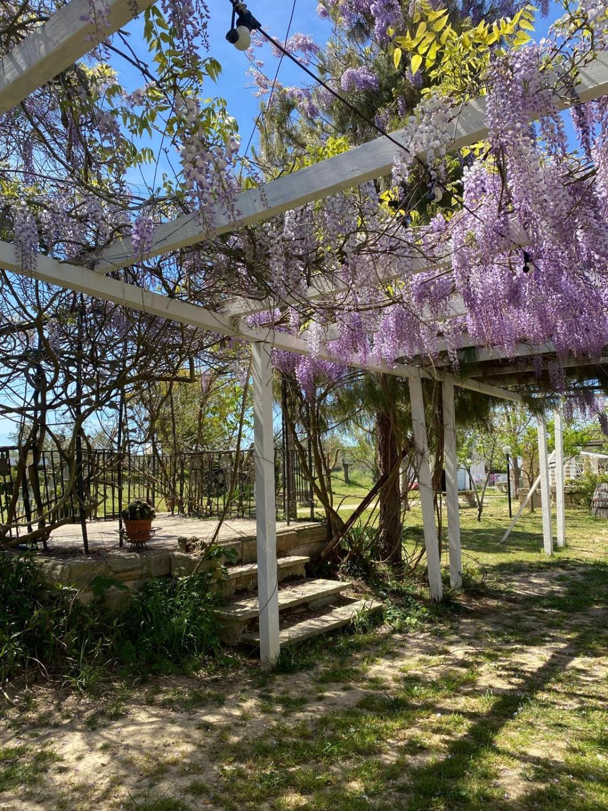 Agriturismo Tenuta La Monaca Aradeo Bagian luar foto